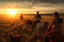 Namibia-Namibia-Great Namibian Desert Trail